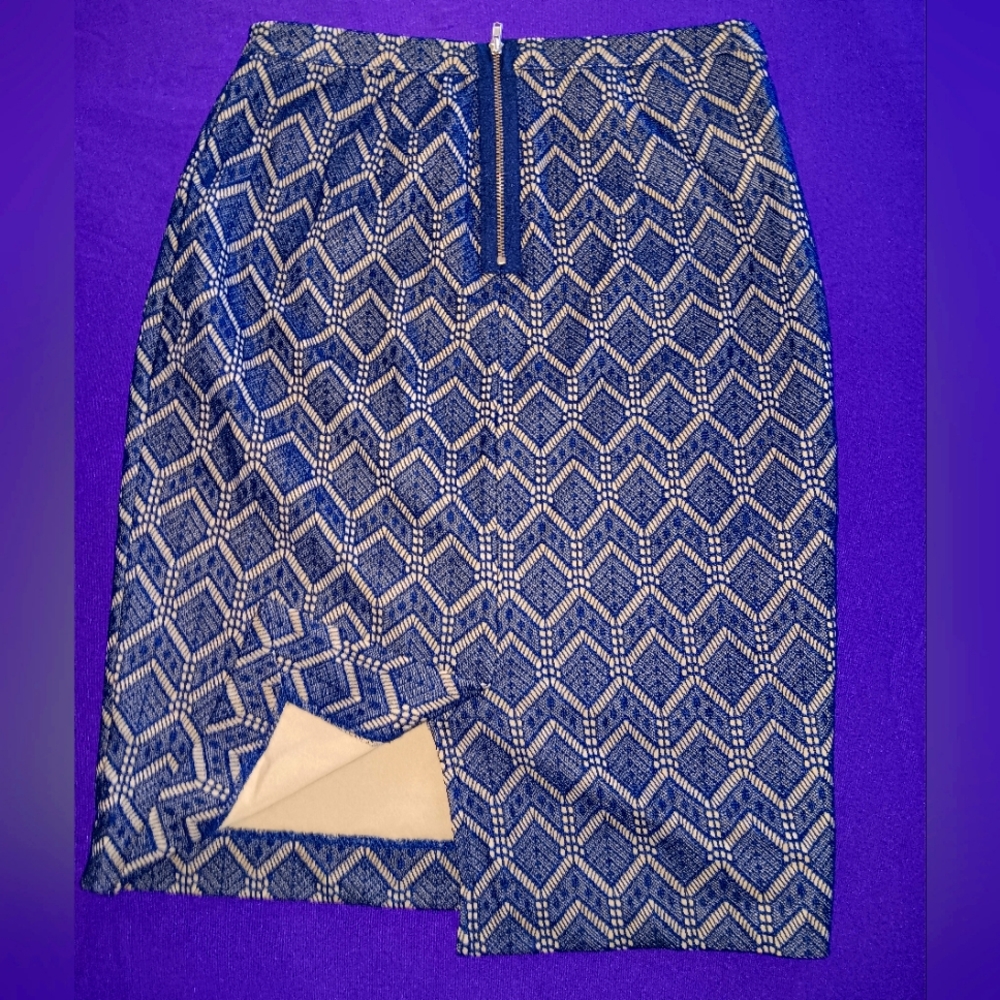 The Limited Women's S 0 Blue Skirt